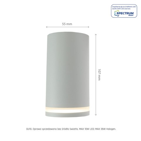 CHLOE MINI RING NATYNKOWA GU10 230V IP20 fi55*107mm BIAŁY nieruchoma CHLOE MINI RING NATYNKOWA GU10 230V IP20 fi55*107mm BIAŁY nieruchoma