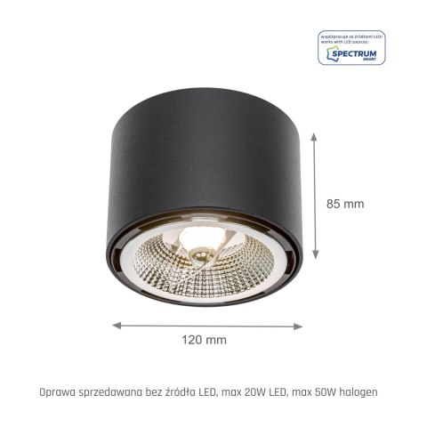 CHLOE AR111 NATYNKOWA GU10 250V IP20 120x85mm CZARNY okrągła nieruchoma CHLOE AR111 NATYNKOWA GU10 250V IP20 120x85mm CZARNY okrągła nieruchoma