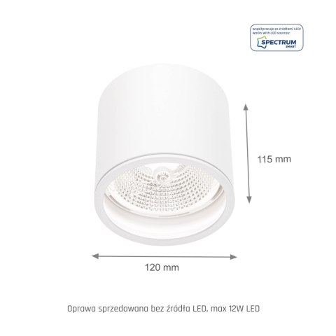 CHLOE AR111 NATYNKOWA GU10 250V IP65 120x115mm BIAŁY okrągła nieruchoma CHLOE AR111 NATYNKOWA GU10 250V IP65 120x115mm BIAŁY okrągła nieruchoma