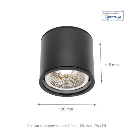 CHLOE AR111 NATYNKOWA GU10 250V IP65 120x115mm CZARNY okrągła nieruchoma CHLOE AR111 NATYNKOWA GU10 250V IP65 120x115mm CZARNY okrągła nieruchoma