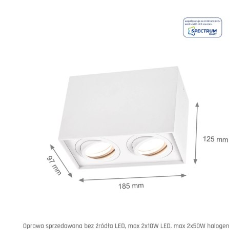 CHLOE DUO GU10 X2 NATYNKOWA GU10 250V IP20 97x185x125mm BIAŁY prostokątna ruchoma CHLOE DUO GU10 X2 NATYNKOWA GU10 250V IP20 97x185x125mm BIAŁY prostokątna ruchoma