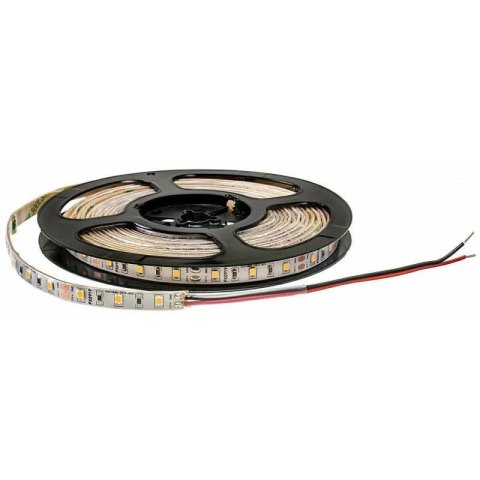 Taśma 24V 60LED 2835 4,8W 6000K IP65 TERMOCOCON-1m